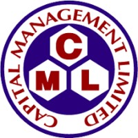 ICB Capital Management Ltd Logo