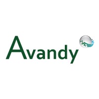 Avandy GmbH Logo