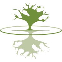 DIAMOND HEAD CONSULTING LIMITED Logo