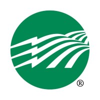 Northern Neck Electric Cooperative Logo