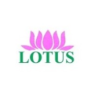 Lotus Technology Logo