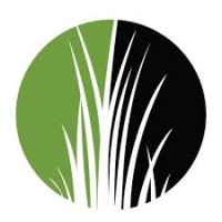 The First National Bank of Sedan Logo