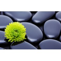 Ajax Health Clinic Logo