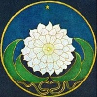 Kristine Mann Library Logo