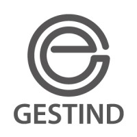 Gestind S.p.A. Logo