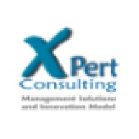 XPERT Consulting Logo