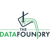 The Data Foundry Logo