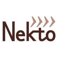 Nekto Logo