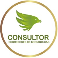 ConsultorSAC Logo