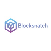 Blocksnatch Logo