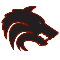 Desert Mountain High School Logo