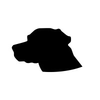 Rocky Clark Logo