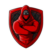 Stealth Tech Services Co Logo