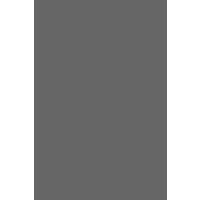 INSIGHT EXECUTIVE SEARCH Logo