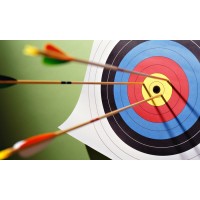 Young Archers Logo