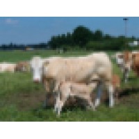 Hoeve t Boschend Logo