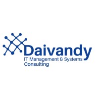 Daivandy IT Management & Systems Consulting Logo