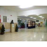 Liceo Scientifico Leonardo da Vinci di Firenze Logo