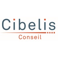 CIBELIS CONSEIL Lénergie en action Logo