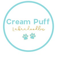 Cream Puff Labradoodles Logo
