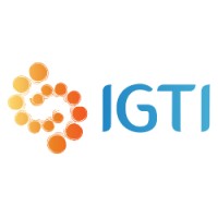 Núcleo de Estudos em Inteligência, Gestão e Tecnologias para Inovação (IGTI) Logo