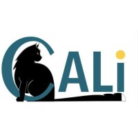 Cali Intelligences Logo