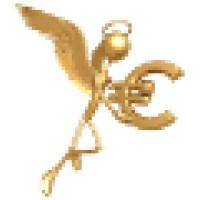 Datawise Services Logo