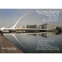 David Oshea Independent Photographic/Video Specialist Logo