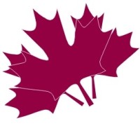 Strategic Tax & Business Solutions Inc Logo