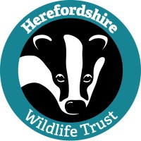Herefordshire Wildlife Trust Logo