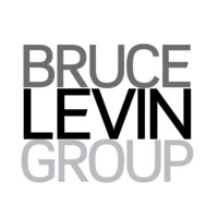 Bruce Levin Group Logo