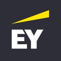 Ernst & Young Capital Advisors, LLC Logo