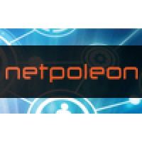 Netpoleon Solutions Logo