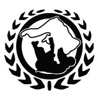 Insight Brazilian Jiu Jitsu Logo