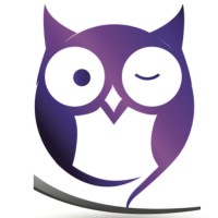 The SilverOwl Pty Ltd Logo