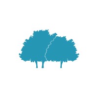 Out of the Woods Therapy Logo