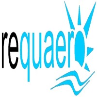 Requaero Limited semiconductor industry sector, recruiting specialists to Europe Logo