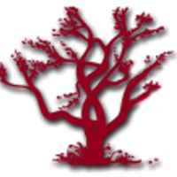 Native Resources Intl. Logo