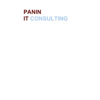 PANIN IT Consulting Logo