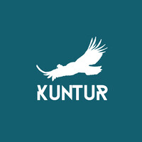 Kuntur Chile Logo