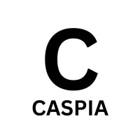 CASPIA RESEARCH IN WEB LIMITED Logo