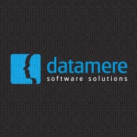 DATAMERE SOFTWARE LIMITED Logo