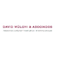 David Mülchi & Asociados Logo