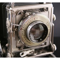 Driscoll Photography Logo