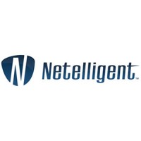Netelligent Logo