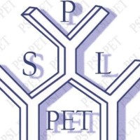 Pakistan Synthetics Limited Logo