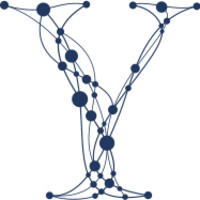 Yale Institute for Network Science Logo
