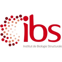 Institut de Biologie Structurale (IBS) Logo