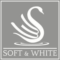 S&W Logo
