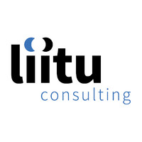 liitu consulting gmbh Logo